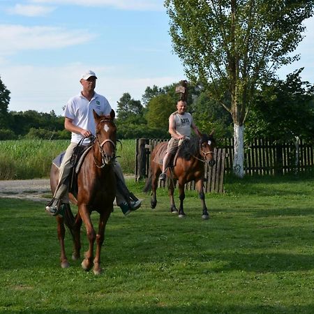 Muzilovcica Rural Tourism Family Ravlicゲストハウス エクステリア 写真