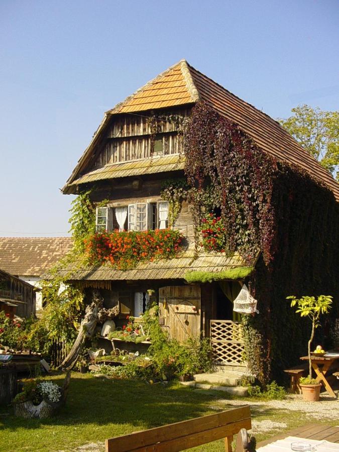 Muzilovcica Rural Tourism Family Ravlicゲストハウス エクステリア 写真