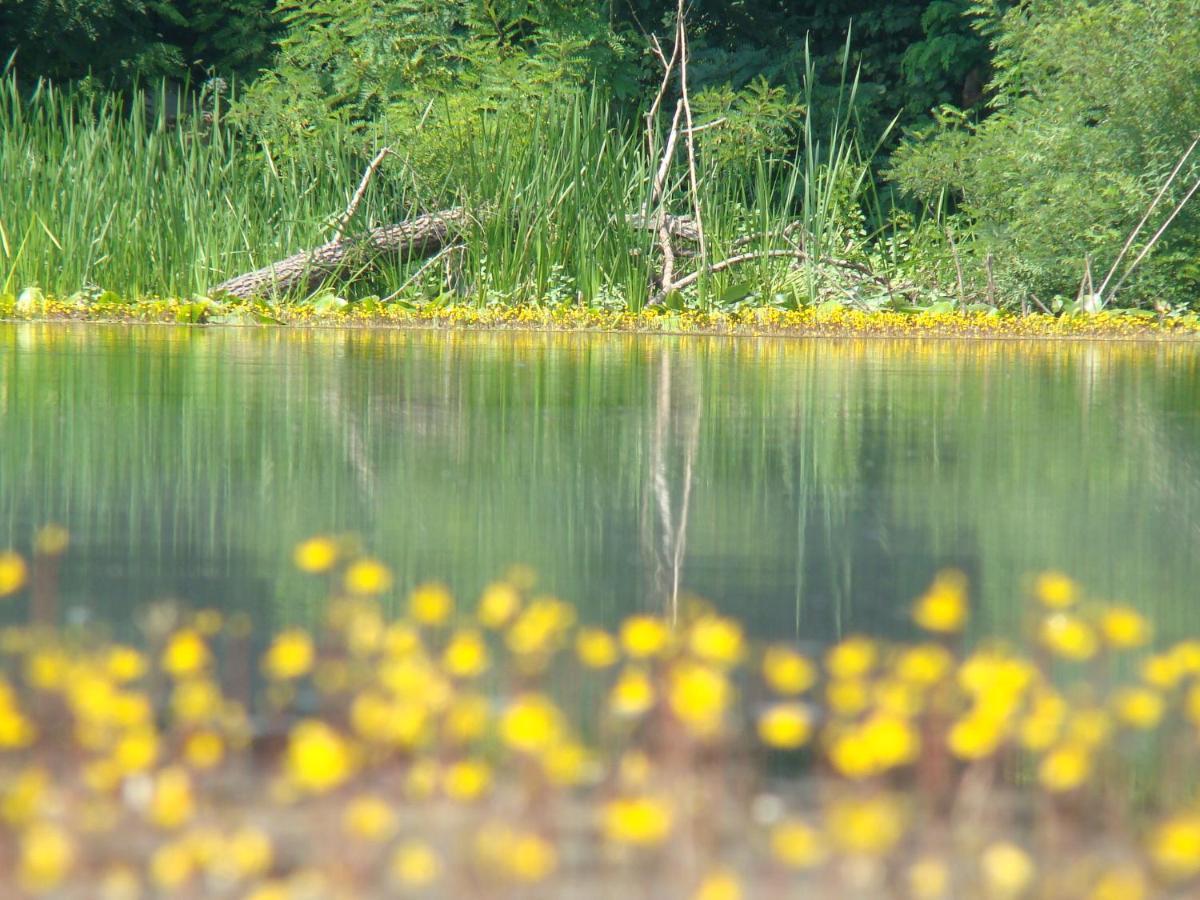 Muzilovcica Rural Tourism Family Ravlicゲストハウス エクステリア 写真